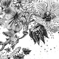 Image 4 of Bird Call - LARGE Print *Deckle Edges