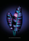 GLOW VARIEGATED TECHNOMUSACAE PRINTING