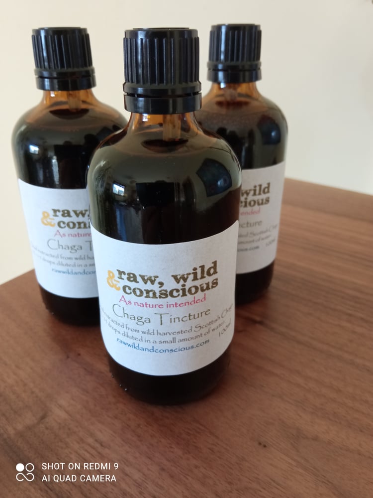 Image of Dual Extract Chaga Tincture - 100ml
