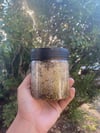 Lavender Sugar Scrub