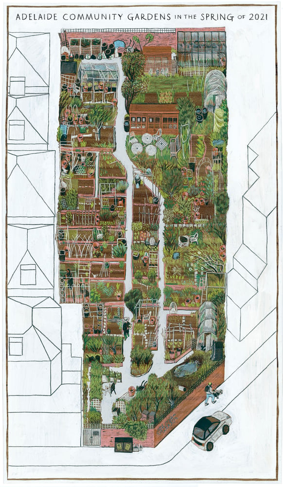 Image of Allotments Map