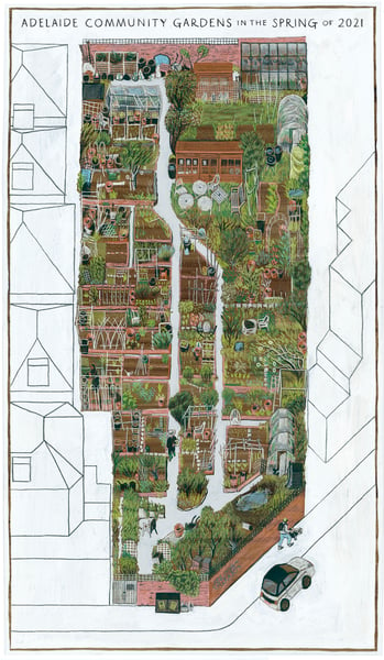 Image of Allotments Map Print