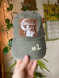 Image 3 of Patchy Caps