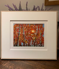 Image 2 of "Silver Birch Forest" 