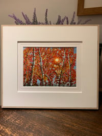 Image 3 of "Silver Birch Forest" 