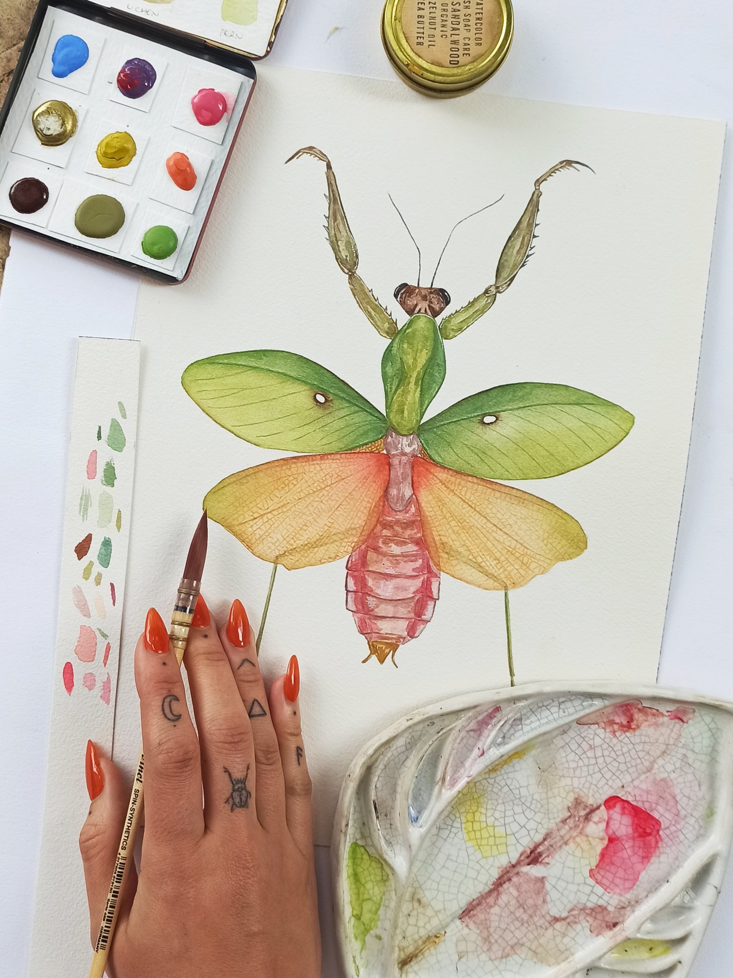 Image of Malaysian shield mantis Watercolor Illustration PRINT 