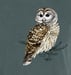 Image of Barred Owl garment dyed hooded sweatshirt