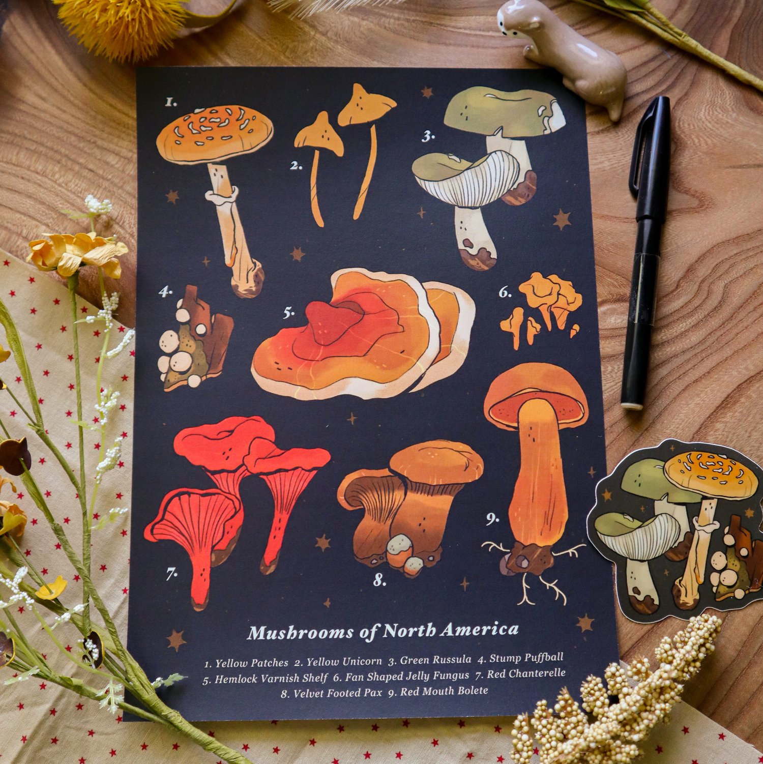 Mushrooms of North America print