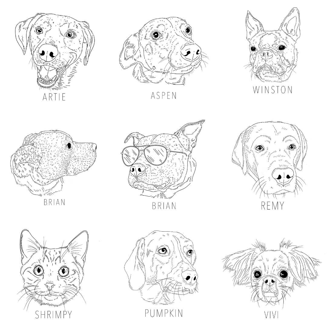 Stitch Your Pet! - Custom Pet Portrait Hand Embroidery KIT
