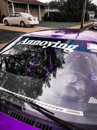 Image 5 of Banner!