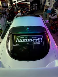 Image 1 of Everything Is a Bummer!!! (banner)