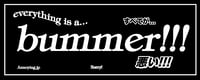 Image 2 of Everything Is a Bummer!!! (banner)