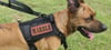 K9/Service Dog Leather Patches 