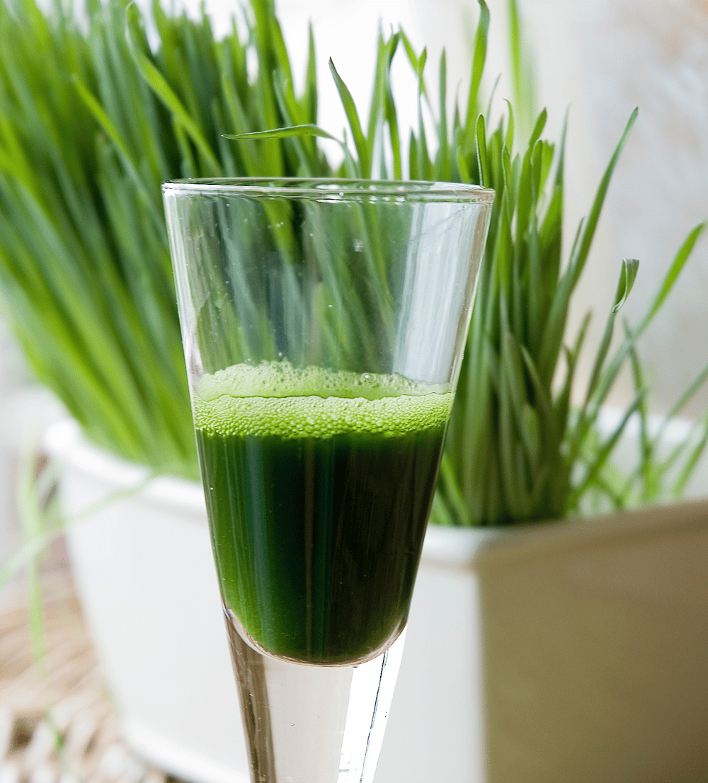 ALFA-FLUSH! Alfalfa Juice Powder/ Leaves-Stems. Kidneys-Bone-Bowel-Menopause.