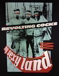 Image 3 of Big Sexy Land Tee