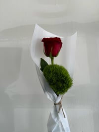 Image 1 of SRVD ‘Single’ Rose