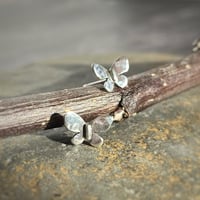 Image 4 of Moth Studs