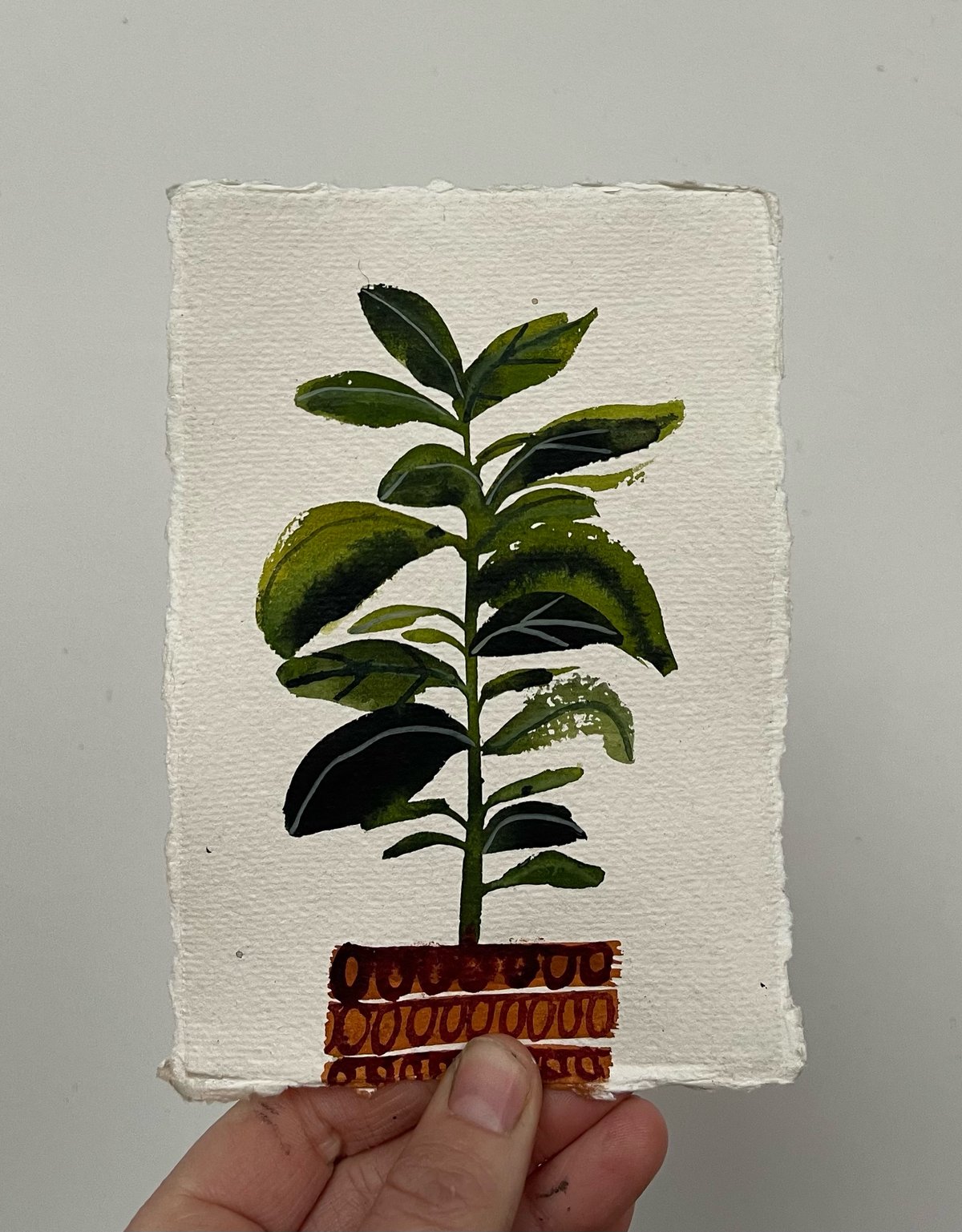 'Rubber Plant’ Watercolour Paintint