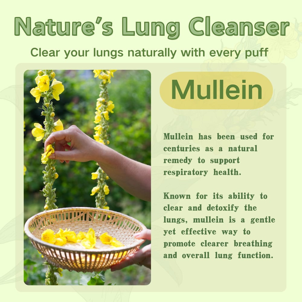 Mullein Leaf Tea Lung Detox 32oz