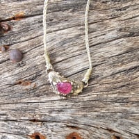 Image 3 of Angelica Pink