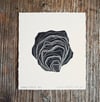 Ostrea edulis - original limited edition lino print