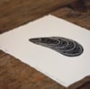 Mytilus edulis - limited edition lino print