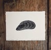 Mytilus edulis - limited edition lino print