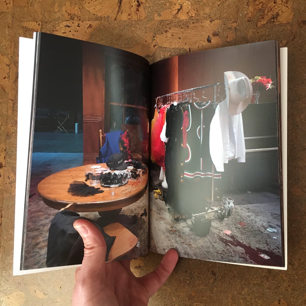 PAUL MCCARTHY & DAMON MCCARTHY - Aftermath BOOK (Hesse Press)