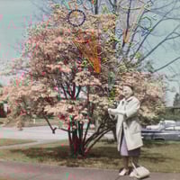 Image 3 of THE MAGICIAN