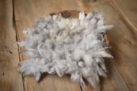 Image 4 of fluffy felted laye pre order (30 days awaiting) 