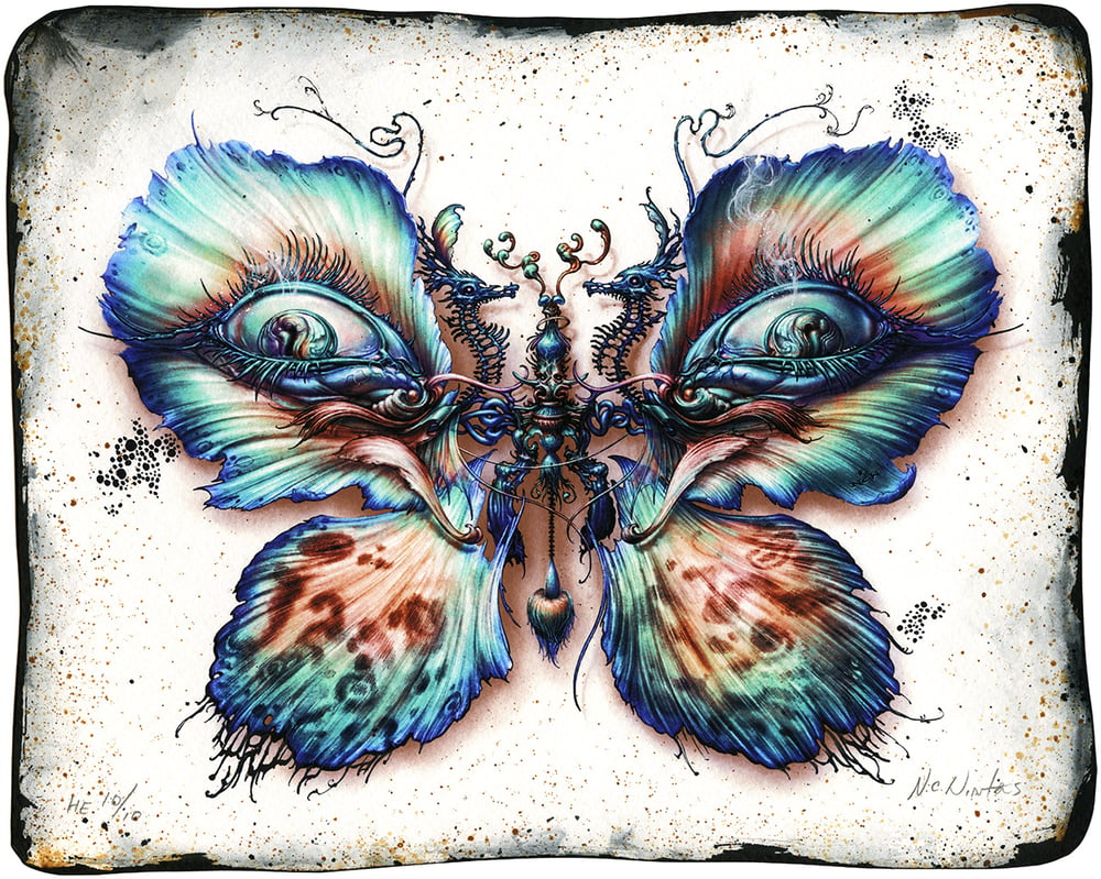 Image of Lepidoptera 8/9 set