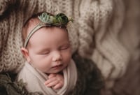 Image 1 of Luxe Newborn Session