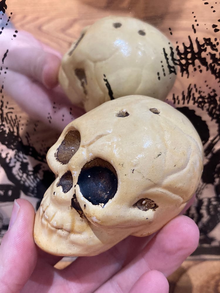 Image of Skull salt and pepper shakers 