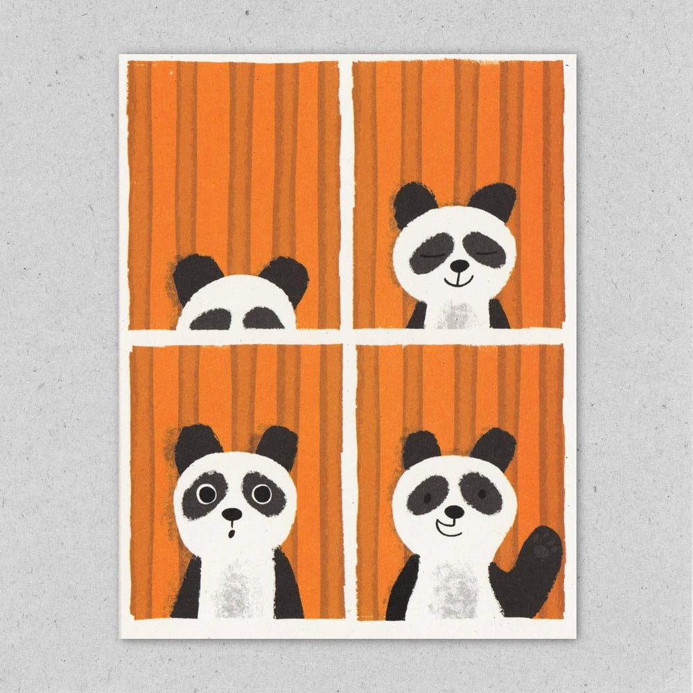 Image of Panda Passport