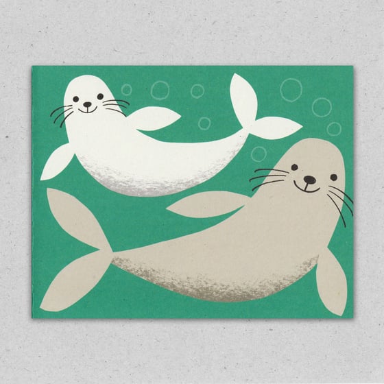 Image of Seals