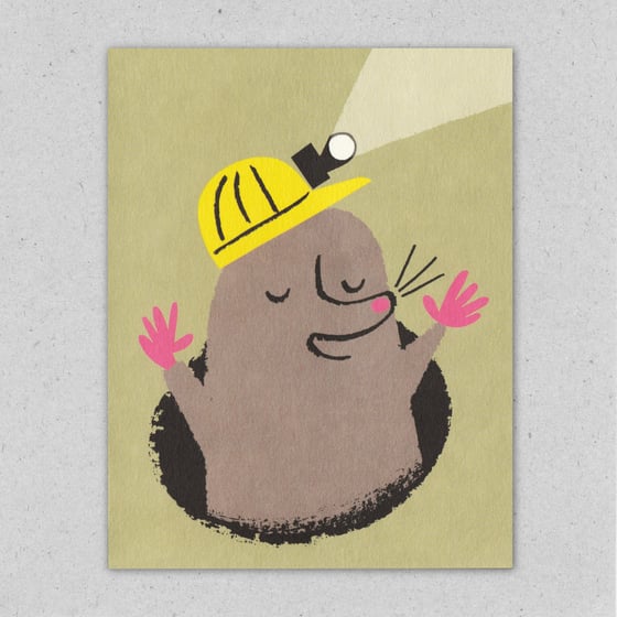 Image of Miner Mole