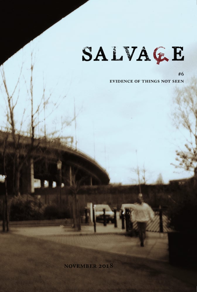 Image of Salvage Issue #6: Evidence of Things Not Seen