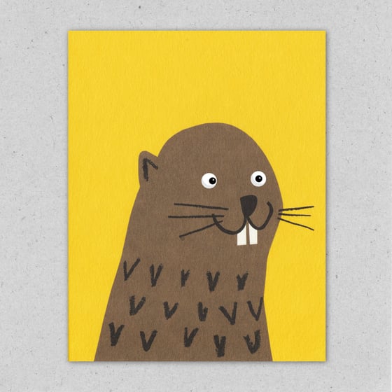 Image of Beaver