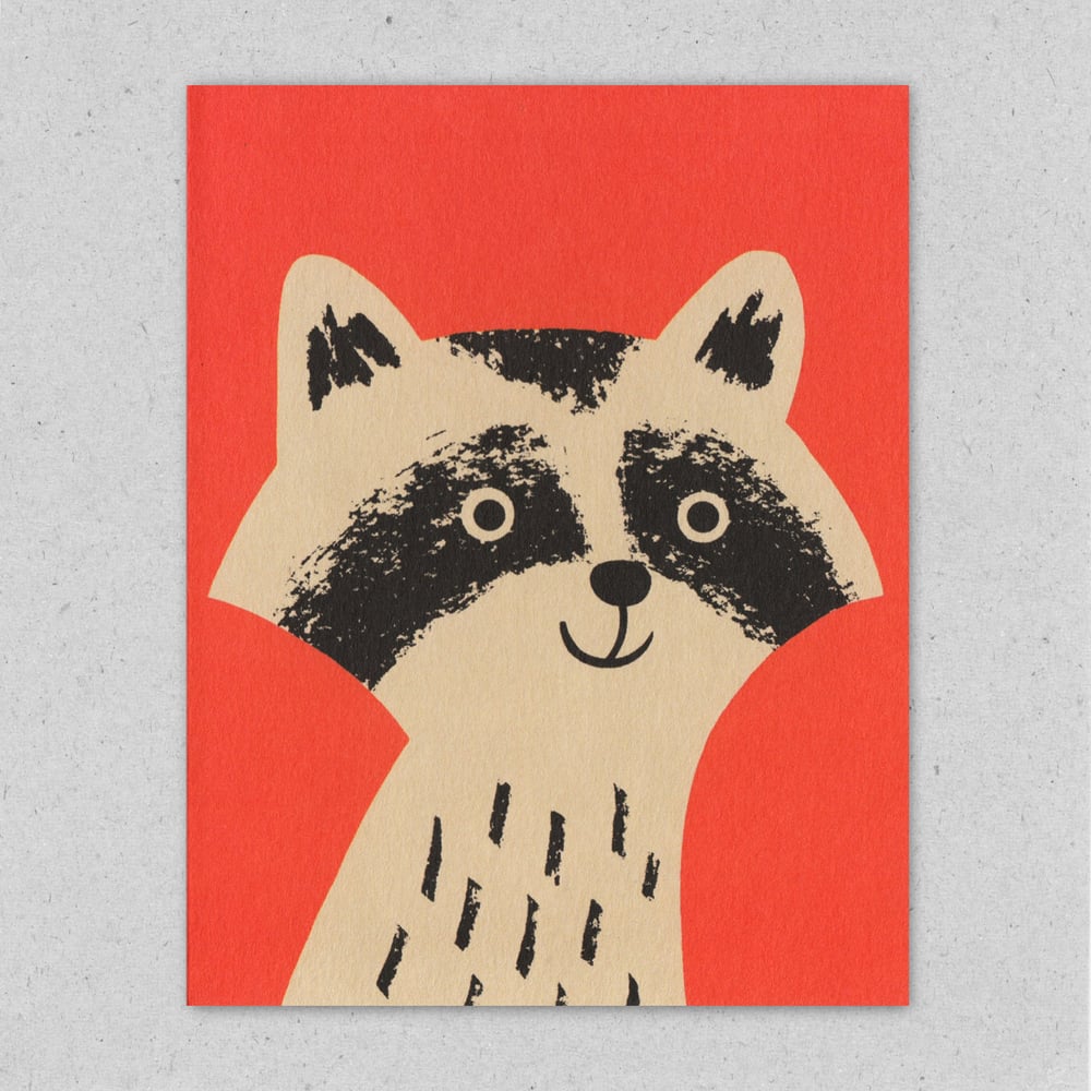 Image of Raccoon