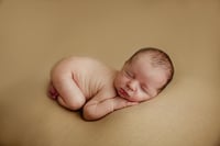 Image 1 of POSED NEWBORN SESSION - BOOKING FEE ONLY 