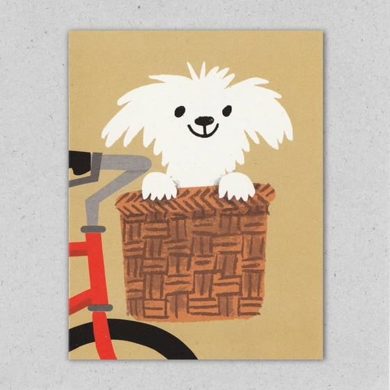 Image of The Passenger