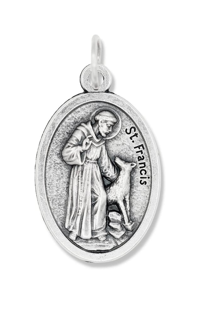 Image of Saint Francis Pet Protection Pendant