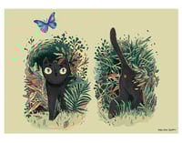 Image 1 of Outdoor Cat