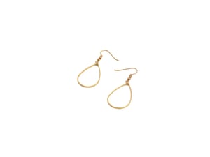 Image of Drop Earrings 