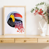 Image 1 of Sir Toucan