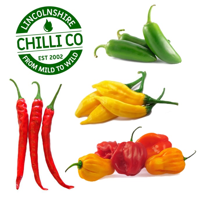 Image of Chilli Seeds - Kitchen Collection 2023