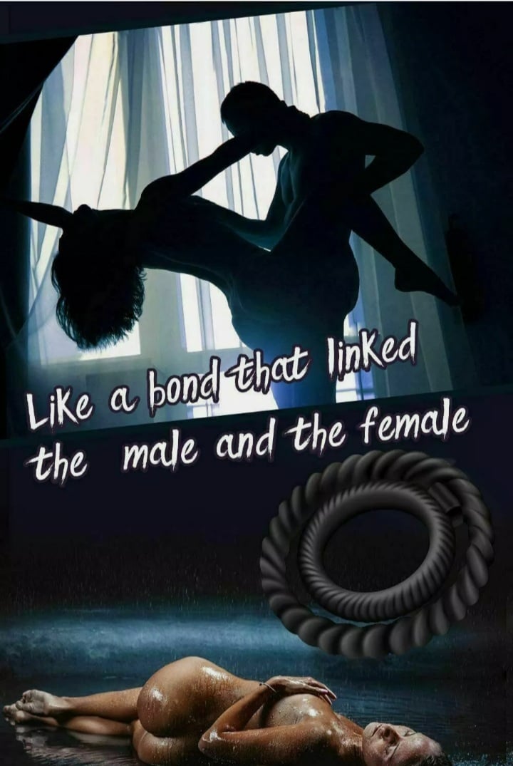 PENIS RING