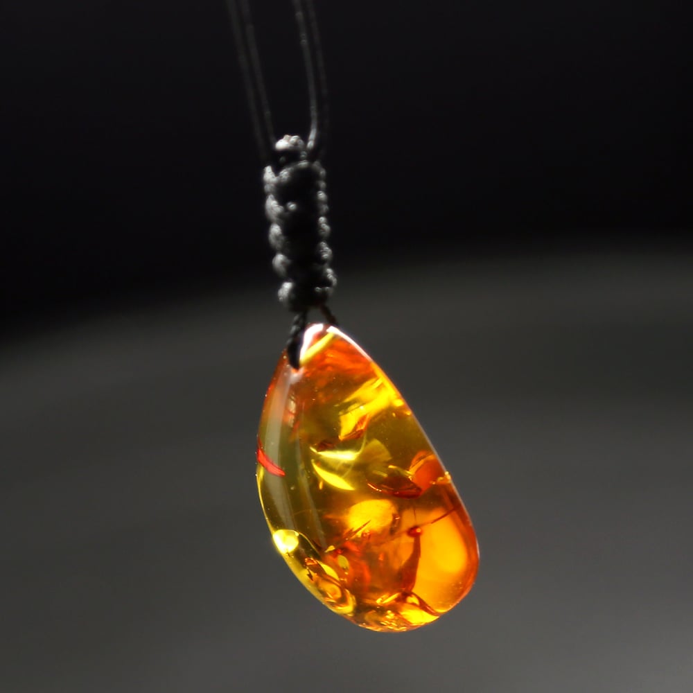 Image of 花珀 | A.M.