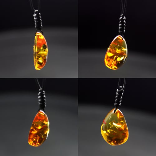 Image of 花珀 | A.M.