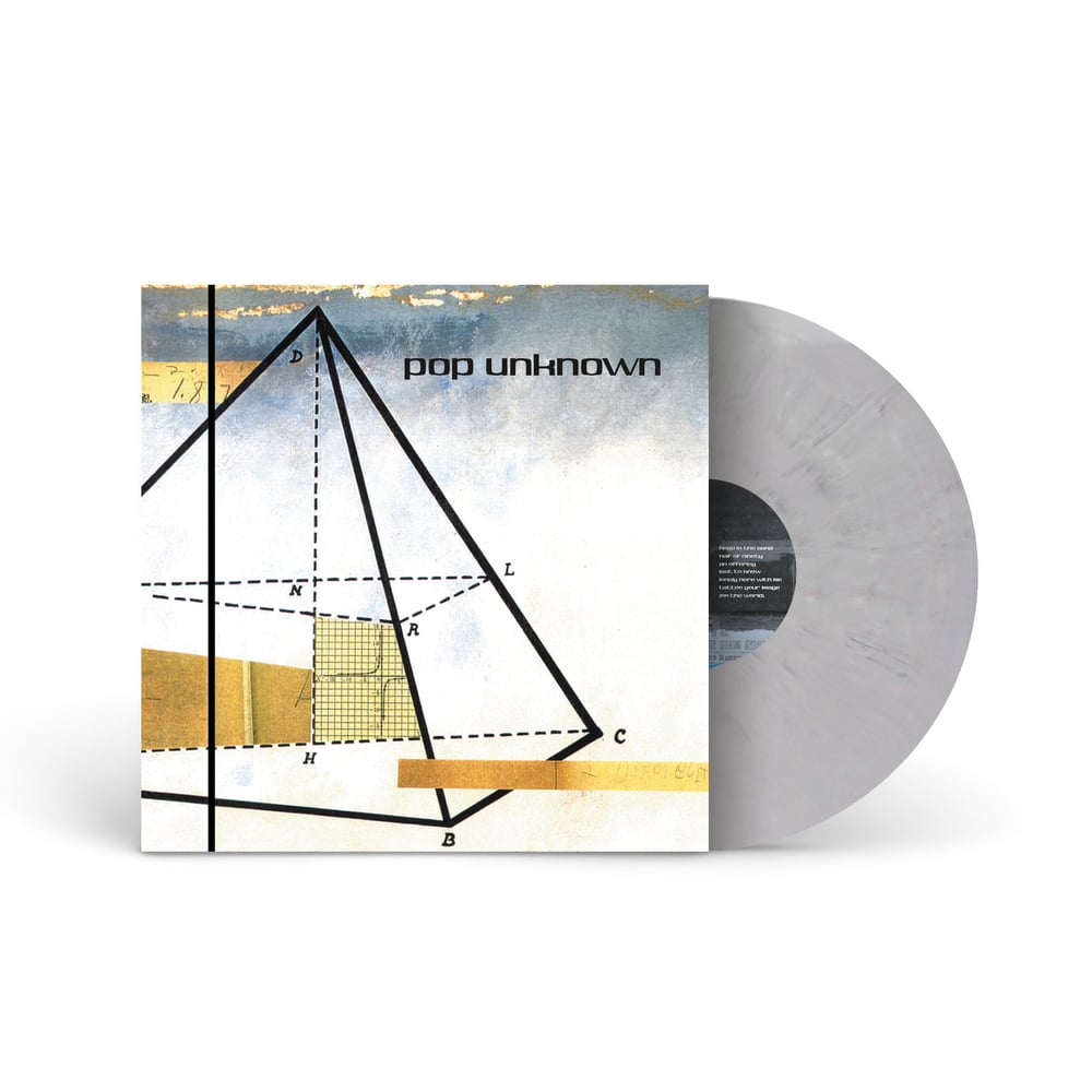 POP UNKNOWN - IF ARSENIC FAILS, TRY ALGEBRA - LP (PRE ORDER)